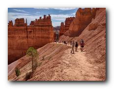 Bryce Canyon NP 61.jpg